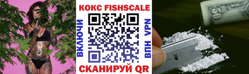 мега сайт  Старая Русса  Cocaine Fish Scale  как найти закладки 