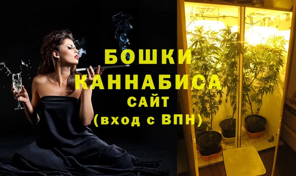 PSILOCYBIN Осташков