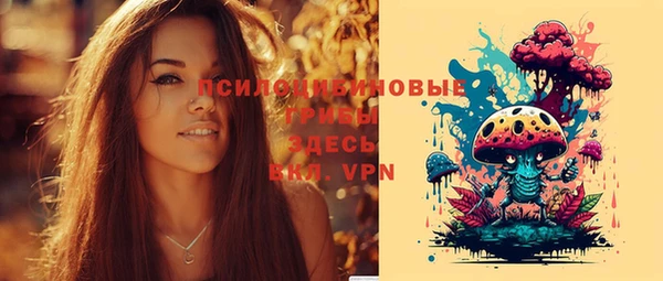 apvp Переславль-Залесский