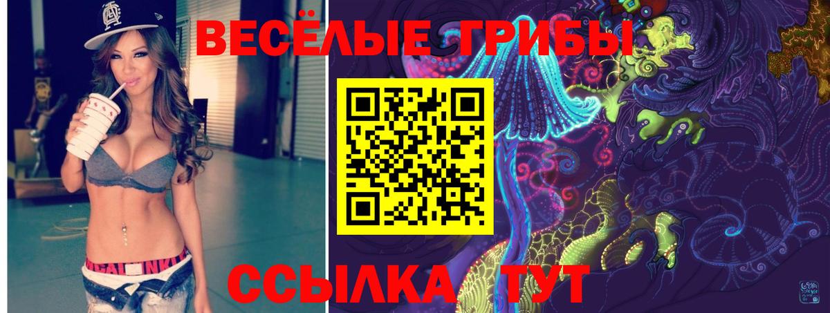 Галлюциногенные грибы MAGIC MUSHROOMS  Вход с VPN  Старая Русса  Галлюциногенные грибы мицелий 